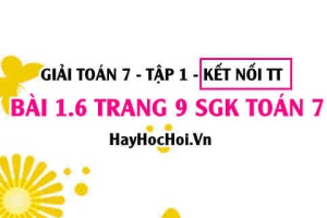 Bài 1.6 SGK Toán 7 tập 1 Kết nối tri thức